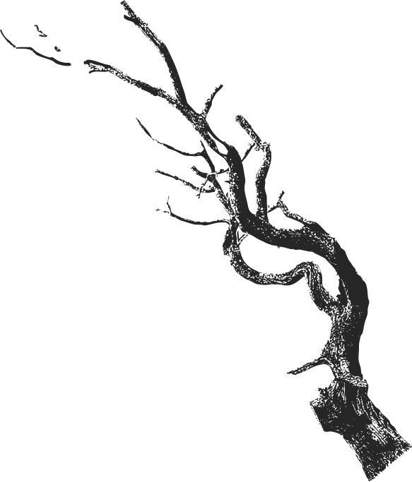 progeny-vampire-tree-1b